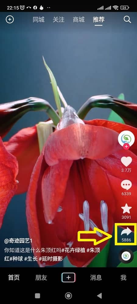 Guide to copy Douyin video link on mobile