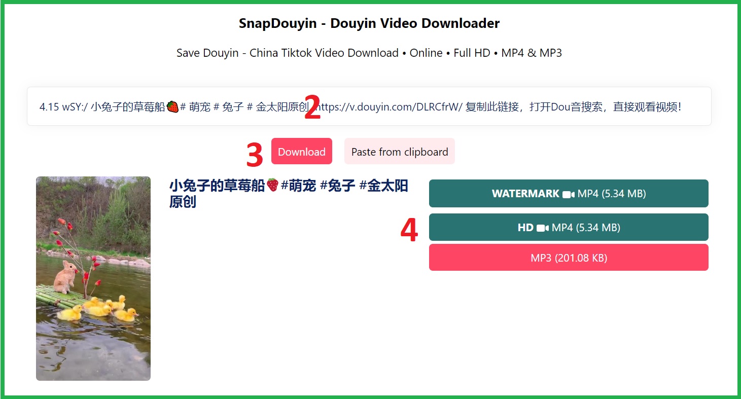 Steps to download Chinese TikTok (Douyin) videos using SnapDouyin