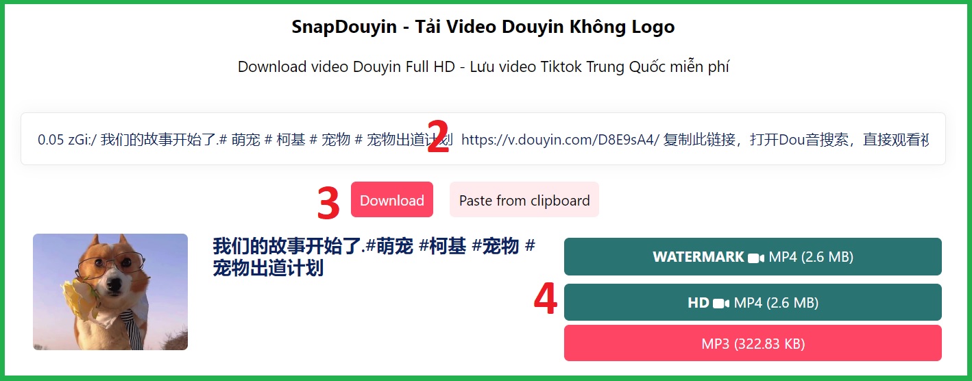 ขั้นตอนในการดาวน์โหลดวิดีโอ TikTok ภาษาจีนด้วย SnapDouyin