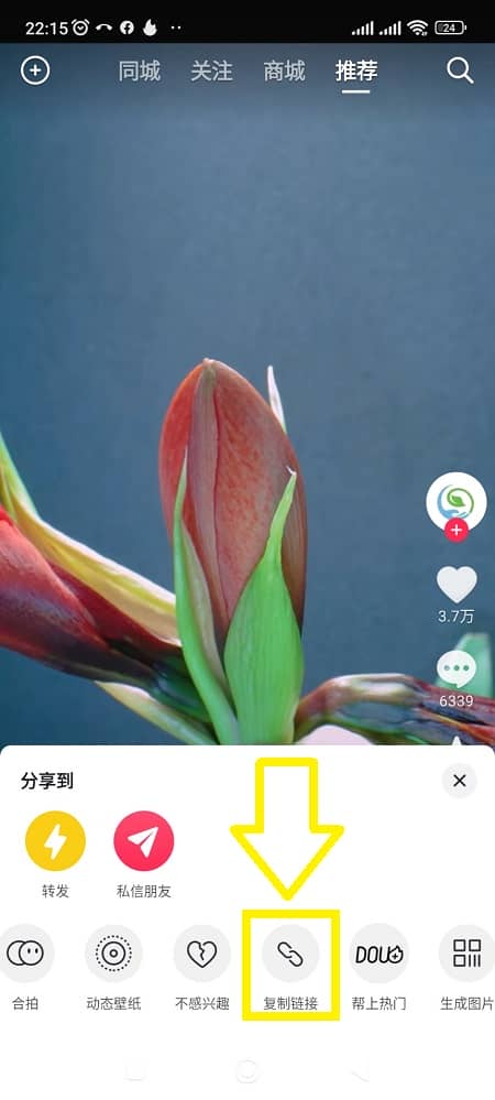 Como obter o link de vídeos do Douyin no iPhone, Android e PC 5